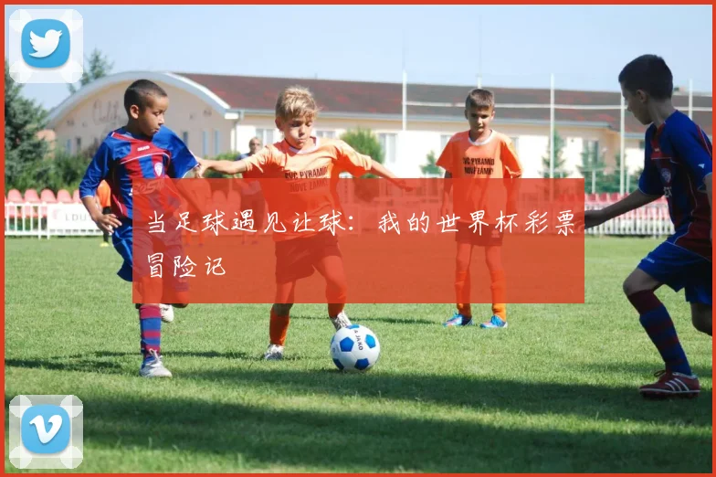当足球遇见让球：我的世界杯彩票冒险记
