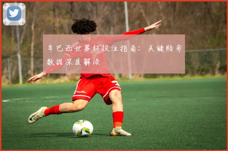 年巴西世界杯投注指南：关键赔率数据深度解读