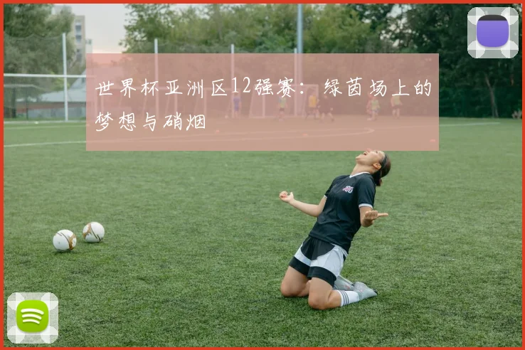 世界杯亚洲区12强赛：绿茵场上的梦想与硝烟