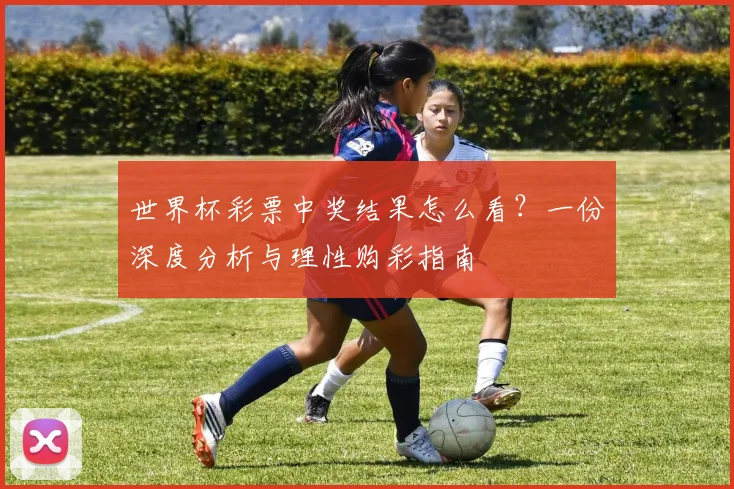 世界杯彩票中奖结果怎么看？一份深度分析与理性购彩指南