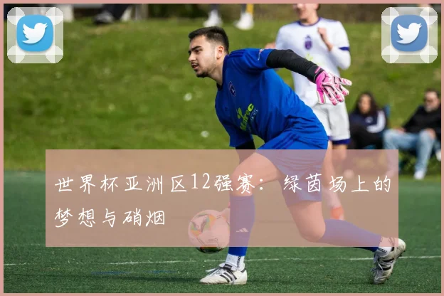 世界杯亚洲区12强赛：绿茵场上的梦想与硝烟