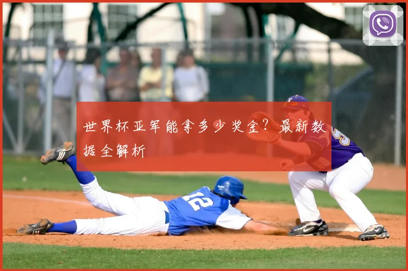 世界杯亚军能拿多少奖金？最新数据全解析
