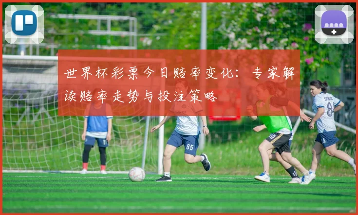 世界杯彩票今日赔率变化：专家解读赔率走势与投注策略