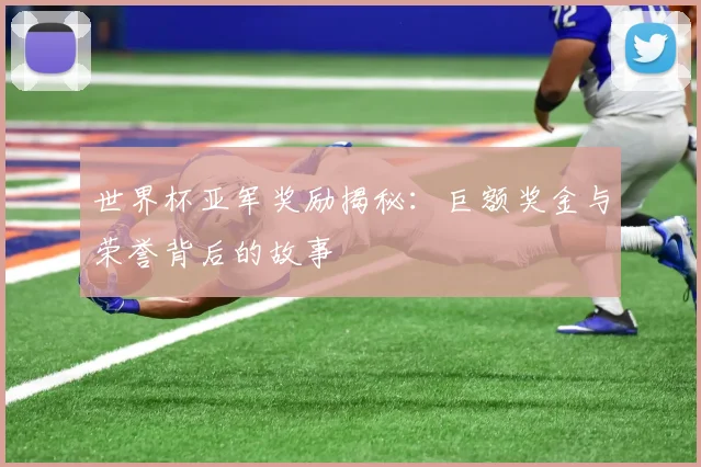 世界杯亚军奖励揭秘：巨额奖金与荣誉背后的故事